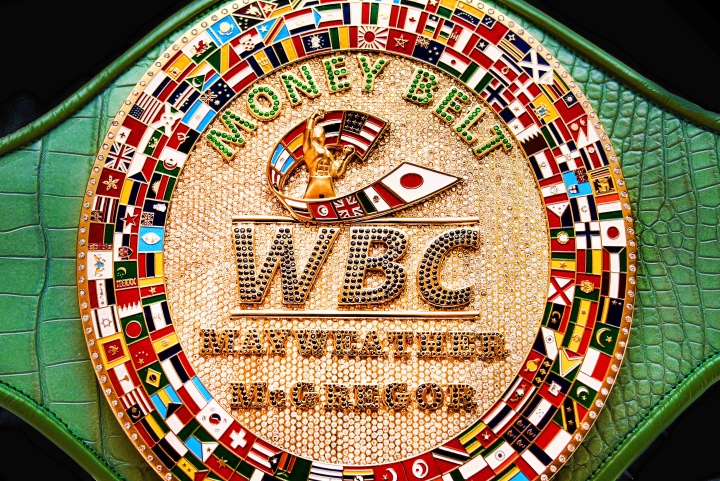 wbc-money-belt%20(2).jpg