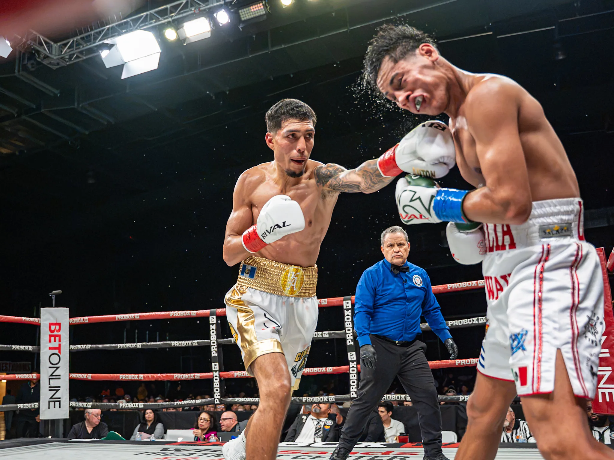 Kevin Anton-Freudis Rojas fight, October 16, 2026