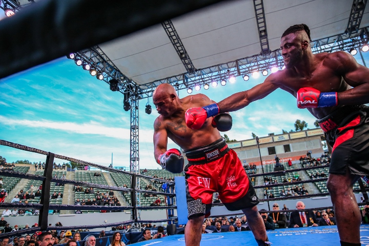 Ajagba Mansour Fight
