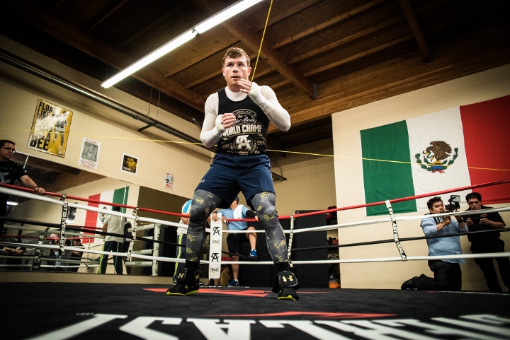 canelo-alvarez (18)