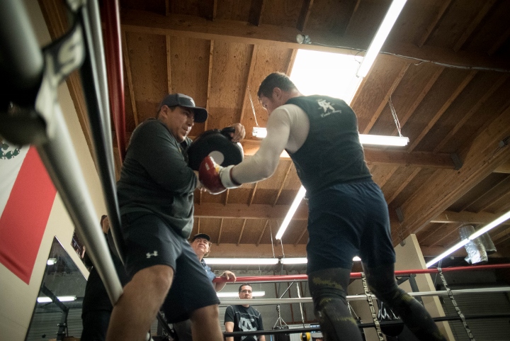 canelo-alvarez (19)