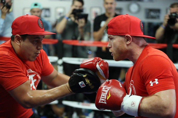 canelo-alvarez (2)_3