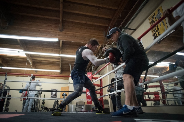 canelo-alvarez (23)