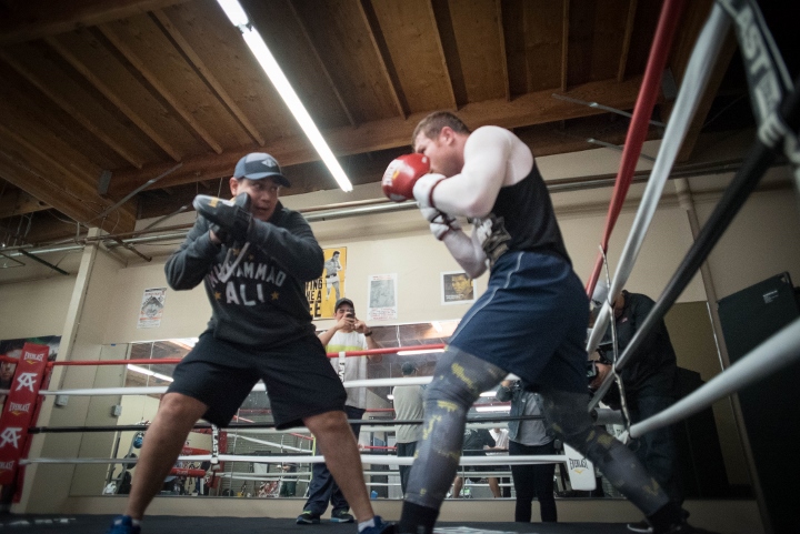 canelo-alvarez (25)