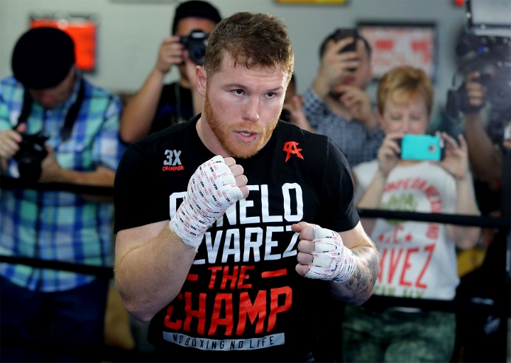 Image result for canelo