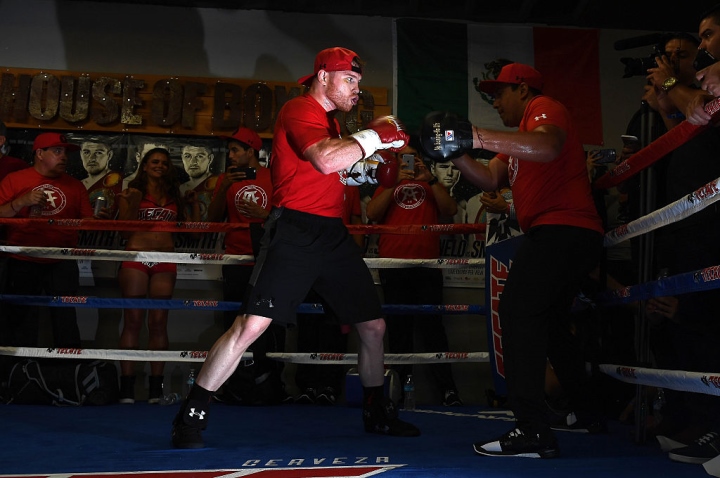 canelo-alvarez (4)_8