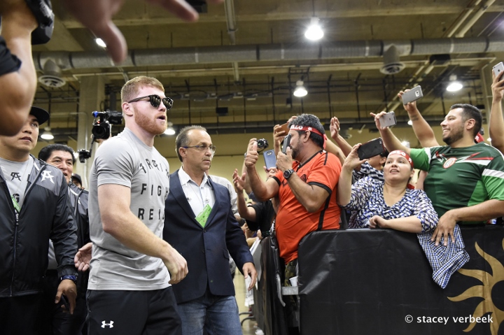 canelo-alvarez (7)_10