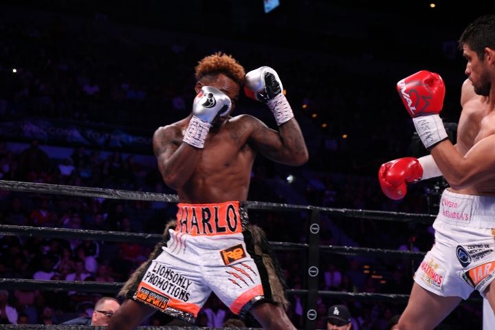 charlo-cota-fight (2)