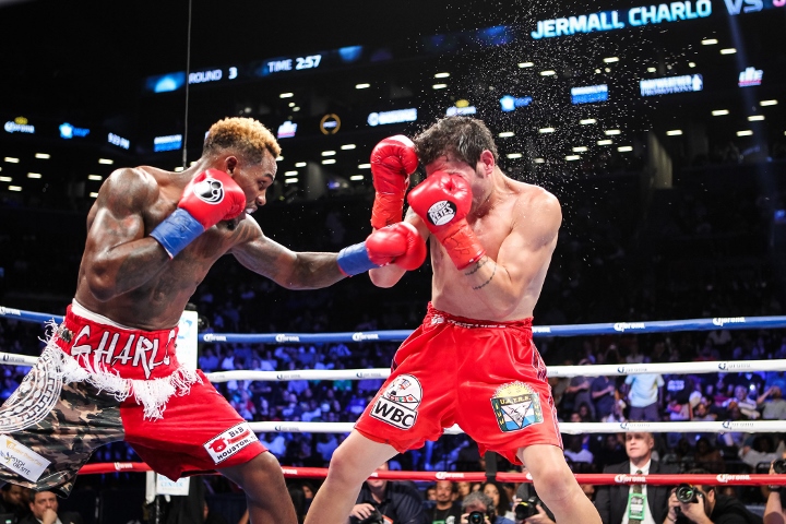charlo-heiland-fight (13)