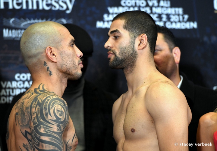 cotto-ali-weights (6)