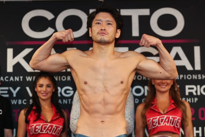 cotto-kamegai-weights (1)