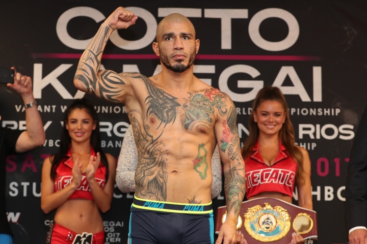 cotto-kamegai-weights (3)
