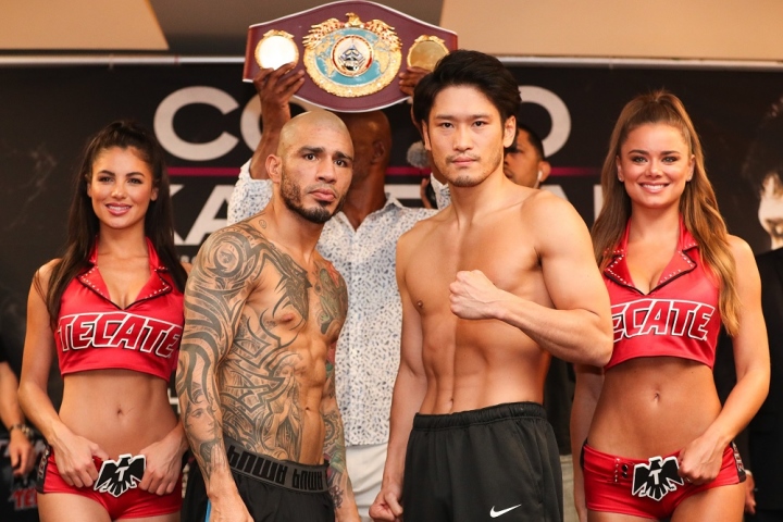cotto-kamegai-weights (4)