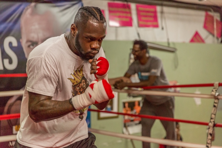 deontay-wilder (3)_4