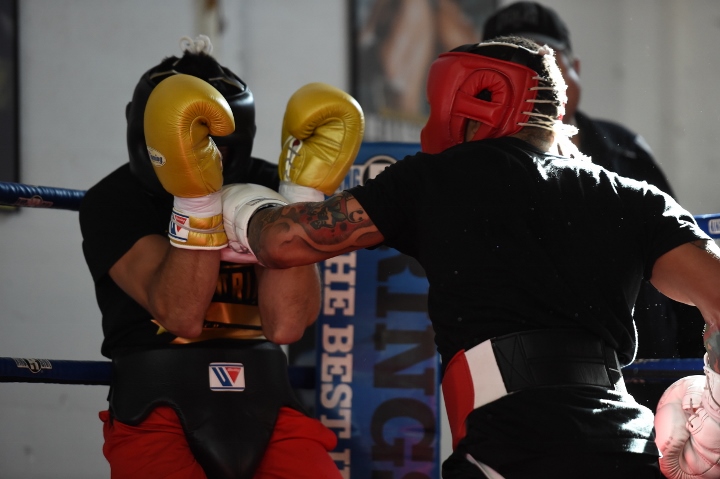 Gervonta Davis