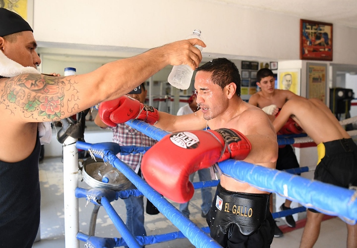 Juan Francisco Estrada