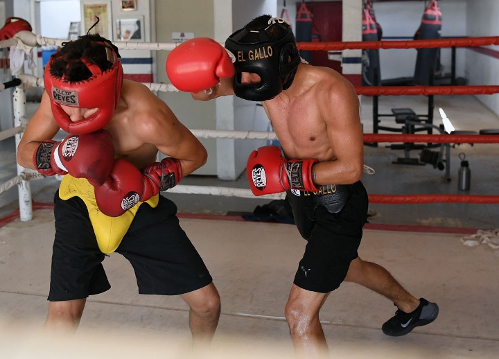Juan Francisco Estrada