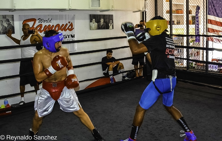 Malignaggi Imam