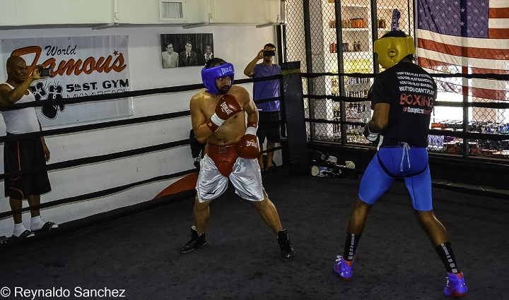 Malignaggi Imam