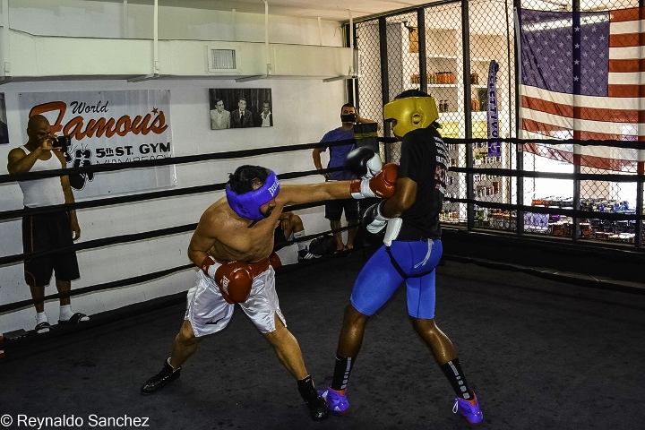 Malignaggi Imam