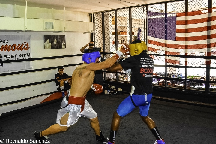 Malignaggi Imam