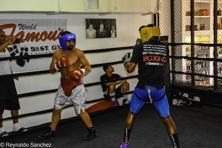Malignaggi Imam