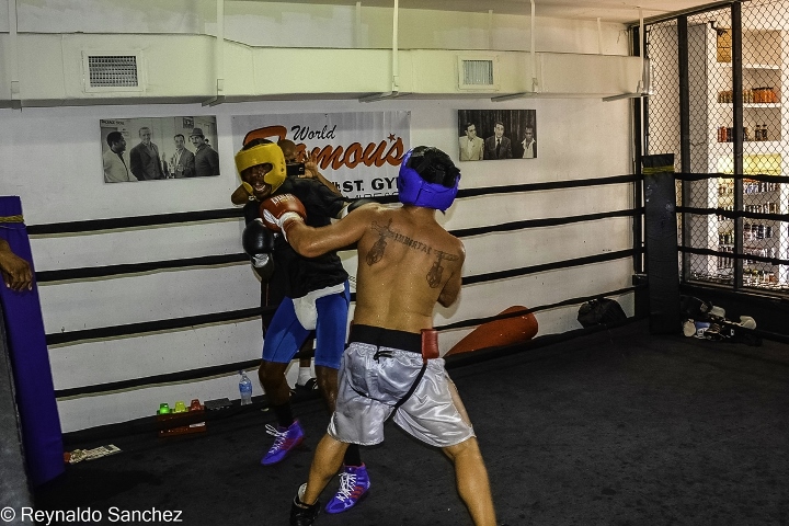 Malignaggi Imam