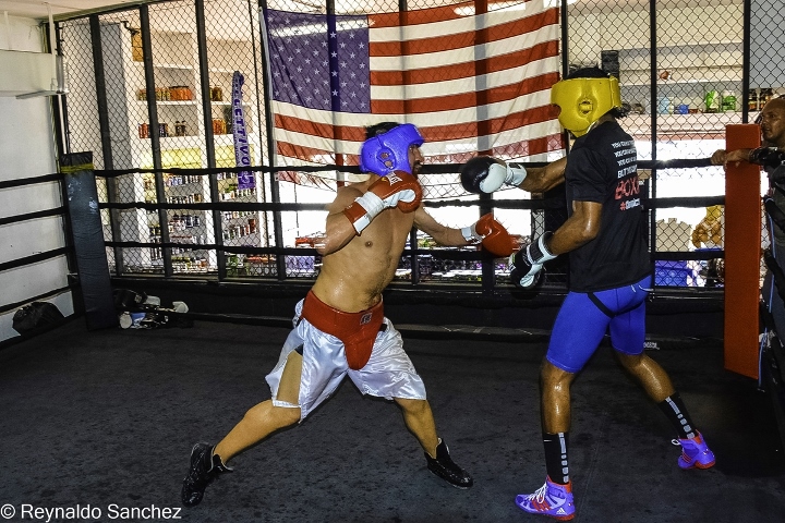 Malignaggi Imam