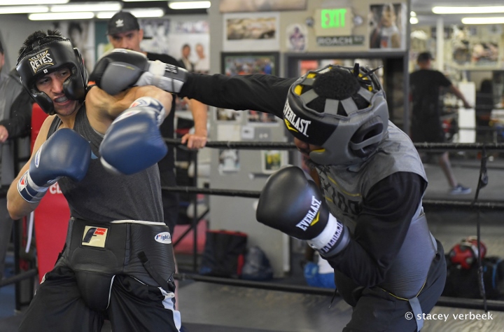 Maurice Hooker