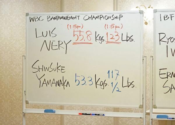 nery-yamanaka-weights (2)