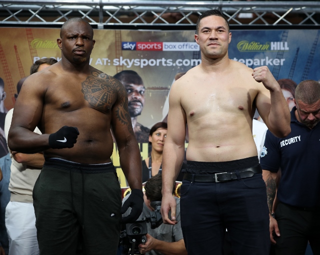 parker-whyte-weights (15)