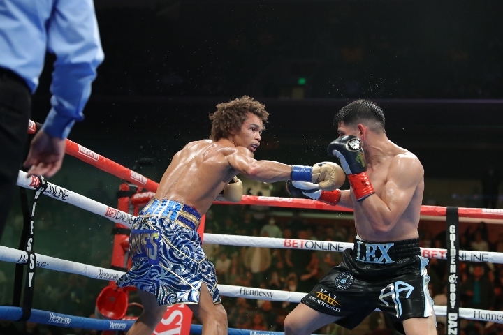 Rocha Cobbs Fight