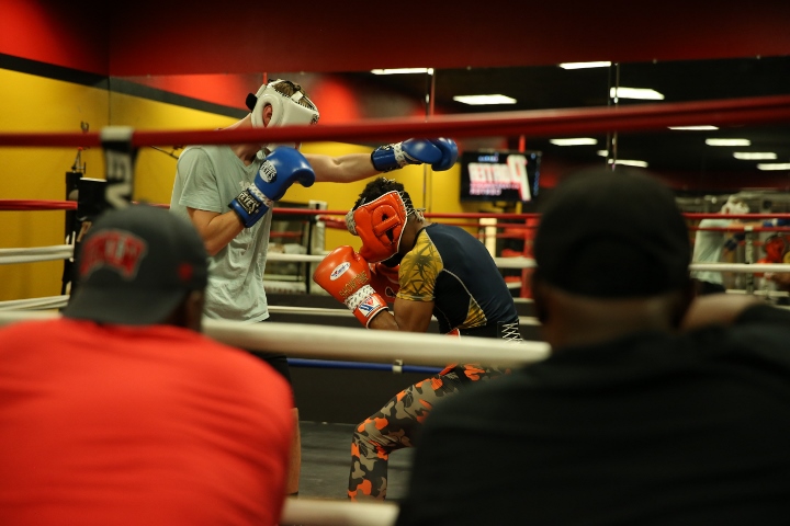 Shawn Porter