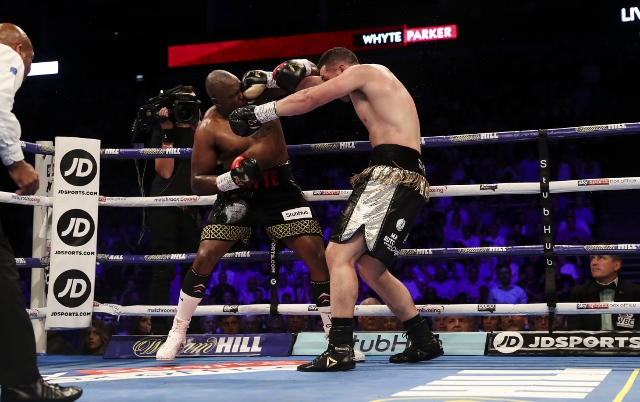 whyte-parker-fight (8)