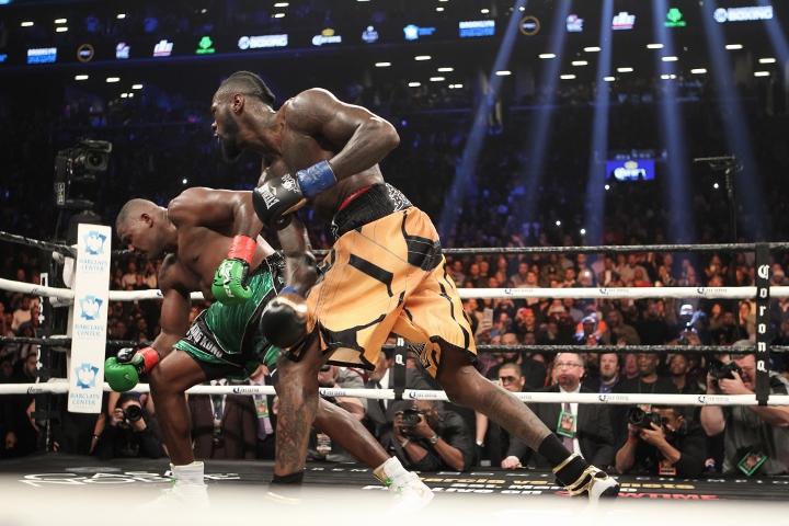 wilder-ortiz-fight (30)