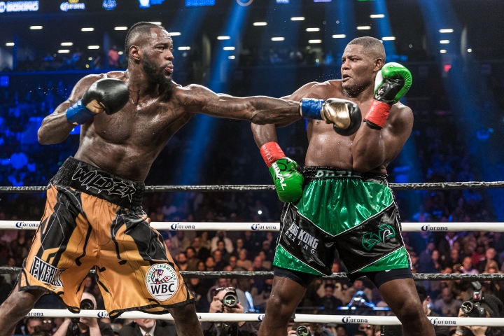 wilder-ortiz-fight (75)