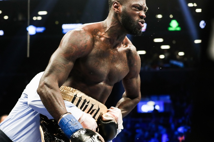 wilder-stiverne-rematch (9)