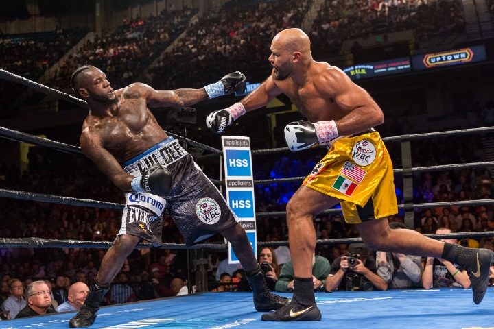 wilder-washington-fight (7)