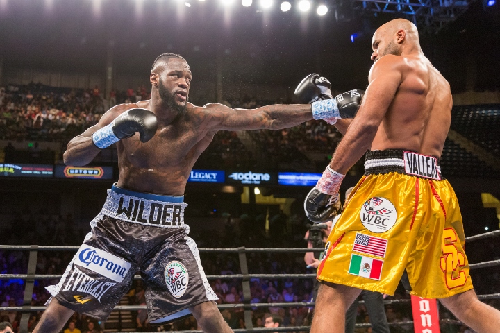 wilder-washington-fight (8)